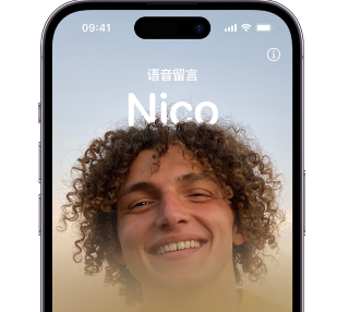 滴道苹果15服务站分享iPhone15实时语音留言开启方法 